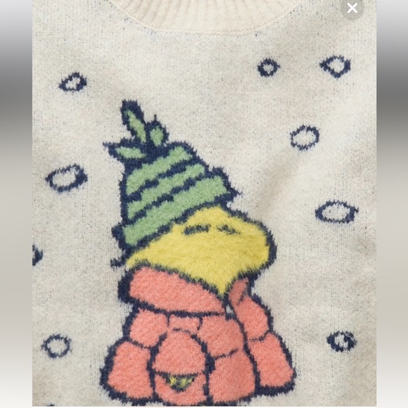 NWT American Eagle Super Soft Woodstock Sweater size Large - Picture 6 of 9